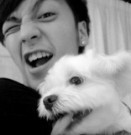 ��������������ͷ��_����Ʒ����į����ζ 