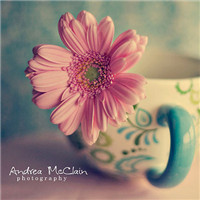 �����⾳�Ҹ�Ů��ͷ�� - QQͷ�� 