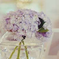 �ǹ���˸,����Ψ���Ļ��� 