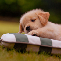 ����ͷ�� - QQͷ�� 