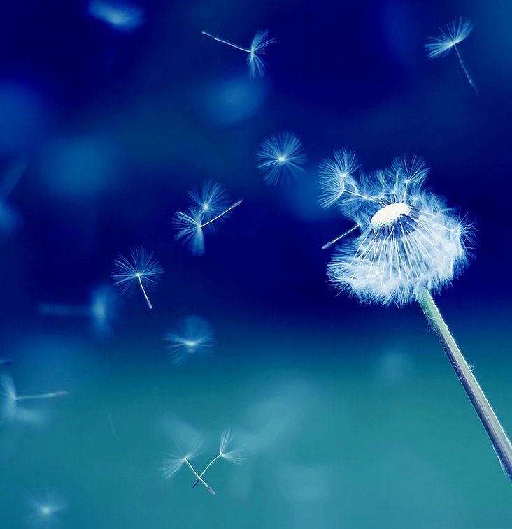 �ѹ�Ӣϵ�з�����ͼƬ