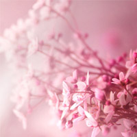 Ψ����qq��̬�羰ͷ��_���޻���