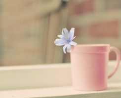 245��200����Ψ���⾳ͷ��ͼƬ