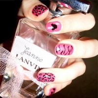 ������Ц��,�Ƿ���Զ������������ 