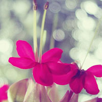 �ڴ����氮�����Ҹ��ľ��� 