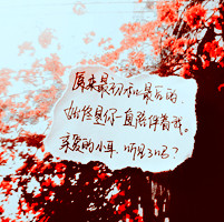 �ܲ�����ȥ���� ��������ͷ��