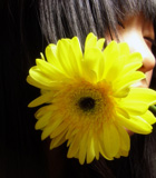 ��ת�������껪,�����Ѿ�ϡ�� 