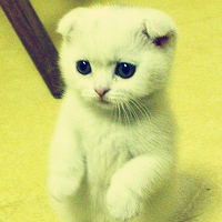 ����ͷ�� - QQͷ�� 