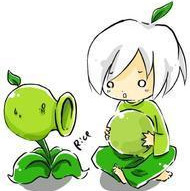 ֲ���ս��ʬ�ĺ���֢QQͷ�� 