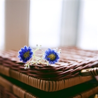 ���ڳ���ȴ������ڴ��� 