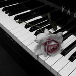 ��˼������Ϻ� ���Ƴ�������ͷ 