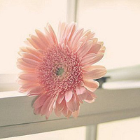 �Ҹ�����,�����Ű��뱻���ĸо� 