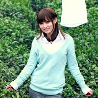 ʱ��,����,����,�������ڴ˿� 