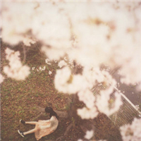 ���ǵİ�������ŵ��������� 