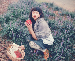 �����ں쳾���߹���ÿһ���� 