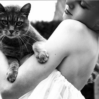 �����ҹ������������ 