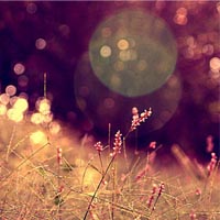 �ڴ����氮�����Ҹ��ľ��� 