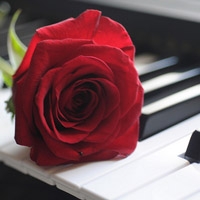 ���� - QQͷ�� 