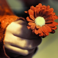 ���� - QQͷ�� 