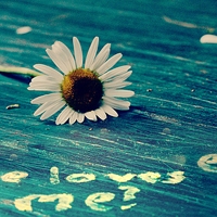 ���� - QQͷ�� 