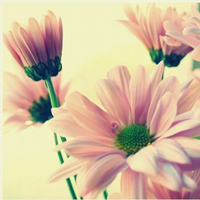 �ǹ���˸,����Ψ���Ļ��� 