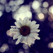 �õķ�����ͼ��ͼƬQQͷ��