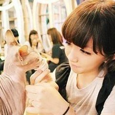 �Բ�����ֻ��̫���㡣 - QQͷ�� 