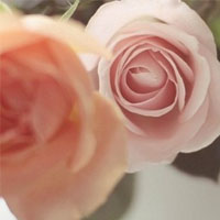 Ψ����qq��̬�羰ͷ��_���޻���