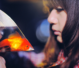 ��ů������Ŀ��������Ů���⾳ͷ�� 