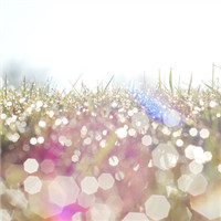 Ծ����ָ�����´�Ψ�������� 