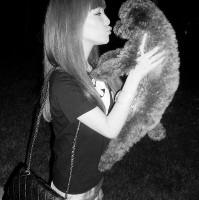 ������Ц��,�Ƿ���Զ������������ 