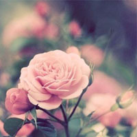 �ڴ����氮�����Ҹ��ľ��� 