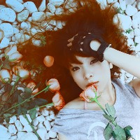 ������,һ�л���ƽ����� 