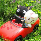 2012���¿�ͨ΢��ͷ��_hollekitty���౦�����л���è