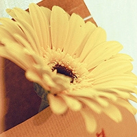 ���� - QQͷ�� 