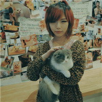 ȫ�����п���QQŮ��ͷ����ϲ�������ʵش�