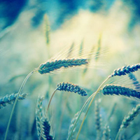 �촽������������ - QQͷ�� 