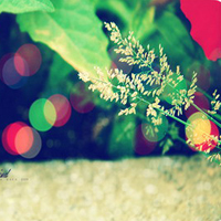 �촽������������ - QQͷ�� 