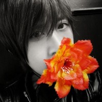 ���ɴ������������ 