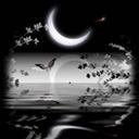 ������Ʒ�ռ������ͷ�� 