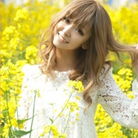 ����,������֪��,����ǽ� 