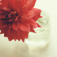 �ڴ����氮�����Ҹ��ľ��� 