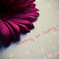 ���� - QQͷ�� 