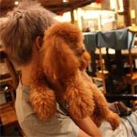 ����������������� QQͷ�� - QQŮ��ͷ���ȫ