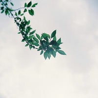 ����Լ�����һƬ�졣QQͷ�� 