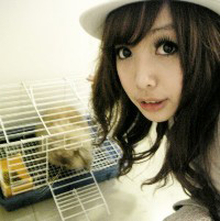 ��������QQ�ɰ�Ů��ͷ�񡢲����޹صļƽϵ����