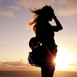 �������������Ҹ�,�������Ż��� 