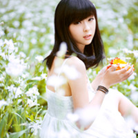 �ڴ���һ���羰�ܹ��������е��˺�