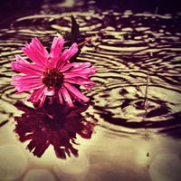 �촽������������ - QQͷ�� 