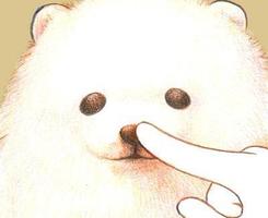 �ɰ�����QQͷ�� 